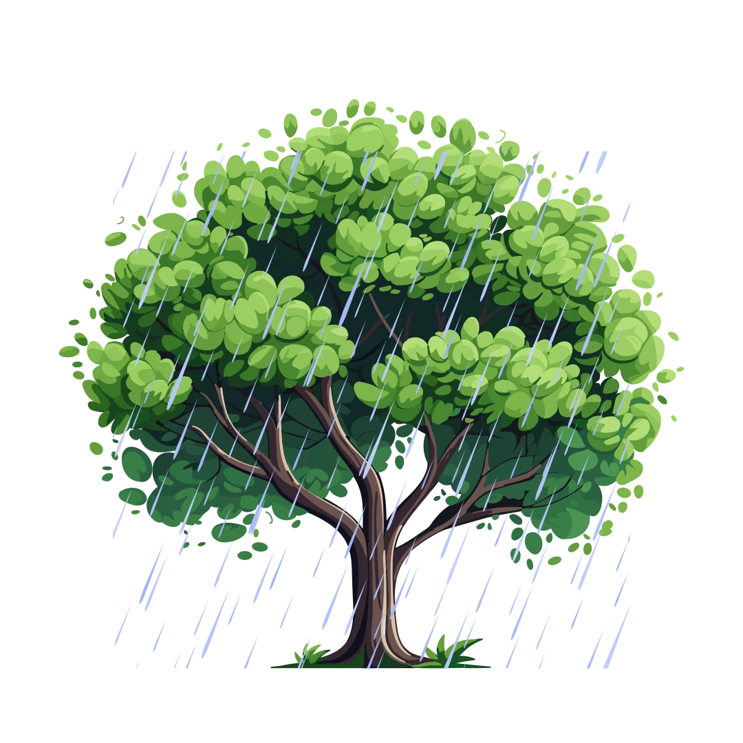 Students Intakes in countries